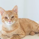 Joost Daniel Schutte - @schutte_da21091 - Twitter