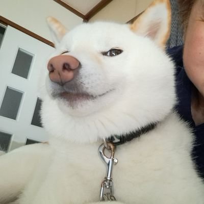 30d57mc's profile picture. 