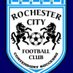 Rochester City Vets FC (@rcvetsfc) Twitter profile photo