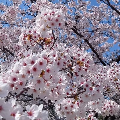 空が好き😊海が好き😊ドライブが好き😊何よりもスイーツ大好き💓♥️❤️
子育て終わり🌸🍀パートナーとのライフスタイルに満喫中🎶