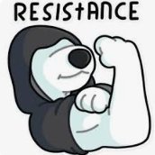 niels_vs99's profile picture. 