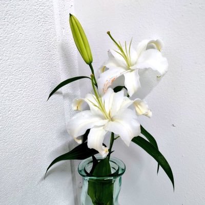 TVprogram007's profile picture. 