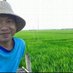 #Rice_Growers (@khamim_neutron) Twitter profile photo