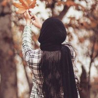 🦋•|گیسومشکی|•🦋 (@gisou__8213) 's Twitter Profile