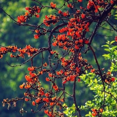 rakesh_23t's profile picture. Very straightforward person, like cycling