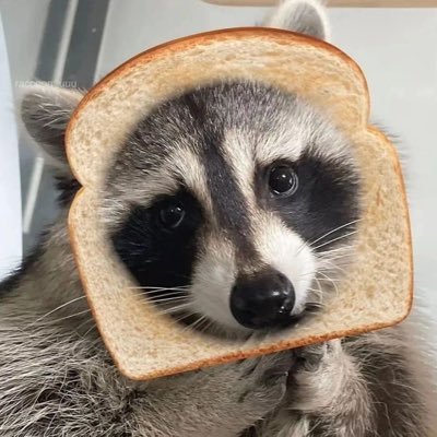 Thatboijonpeii's profile picture. Puertorican🇵🇷, STAN TWICE🤟🏻🤟🏻