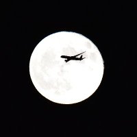 Nanashi (@nanashi_moder) 's Twitter Profile