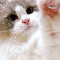 喜欢臭脚姐姐 (@doom08878386) 's Twitter Profile