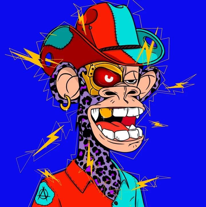 Web wanderer, exploring the virtual realms of possibility.