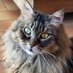 RUE Didier (@ruedidier) Twitter profile photo RUE Didier (@ruedidier) Twitter profile photo