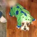 Mrs Micah Magee - @mmagee0206 - Twitter