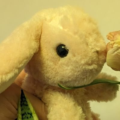 miepuud's profile picture. 