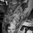 helmetwhufc1970's profile image