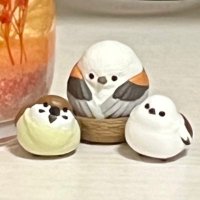 鳥居 鳩 (@traveleratlas) 's Twitter Profile Photo