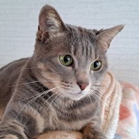 【ゆきまろ】 ゆきまろ (@marocha81826913) / X