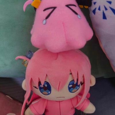 Shirayukiさんのプロフィール画像