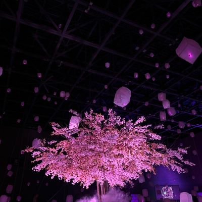 sou626ta's profile picture. 