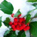 Rita joshi - @rita_joshi - Twitter