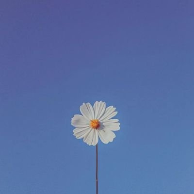 zybelajar's profile picture. Tidak ada yang menarik disini