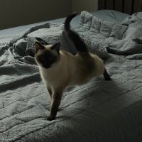 bz (@bng_za_2) 's Twitter Profile Photo