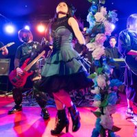 黒にゃんこ(Sweet Cannbis) (@scnekosan) 's Twitter Profile Photo 黒にゃんこ(Sweet Cannbis) (@scnekosan) 's Twitter Profile Photo