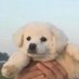 강 하디 (@strongdog143) Twitter profile photo 강 하디 (@strongdog143) Twitter profile photo