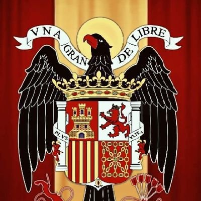 DragonRapide36's profile picture. Todos los que con la espada, con la pluma, con la palabra, agravan y perpetúan los males de la Nación son españoles.