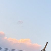 えっぐ (@eggmomo569) 's Twitter Profile