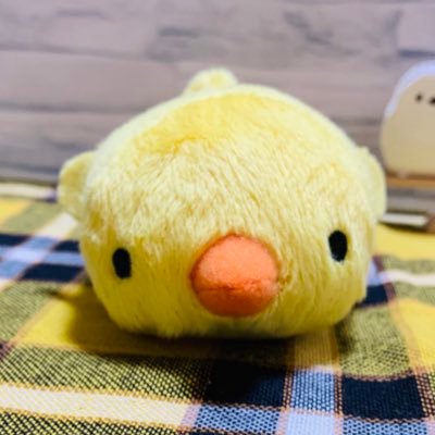 Rayさんのプロフィール画像