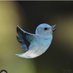 gopinath.palanisami (@gopifair) Twitter profile photo gopinath.palanisami (@gopifair) Twitter profile photo