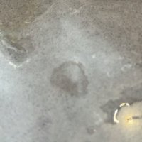 Alkhimik (@dimashoshtaa) 's Twitter Profile