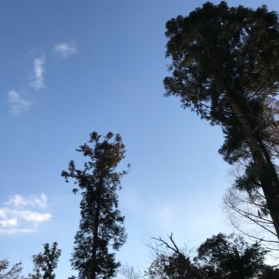 2022/11より英語学習をスタートしましたTakumiです。夢はあの英語学習者の方々に会って英語で話をすること!エミレーツスタジアム、テムズ川に行くこと! I’d love to interact with people who love English!!🇬🇧🇺🇸🇦🇺🇨🇦
