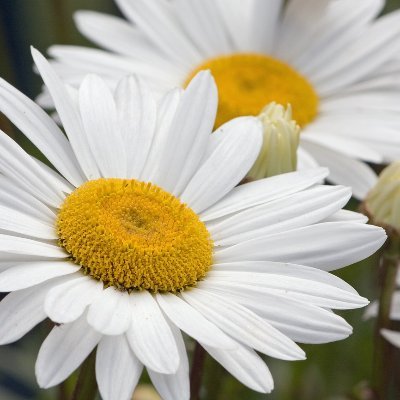 Amandalo06's profile picture. 