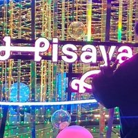 びしぱる (@vsed66) 's Twitter Profile