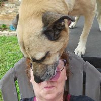 ETXRED67 (@etxred67) 's Twitter Profile