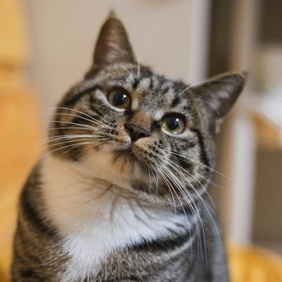 AEG77777's profile picture. 近所トラブル、近隣嫌がらせ、ストーカー行為に困ってます！