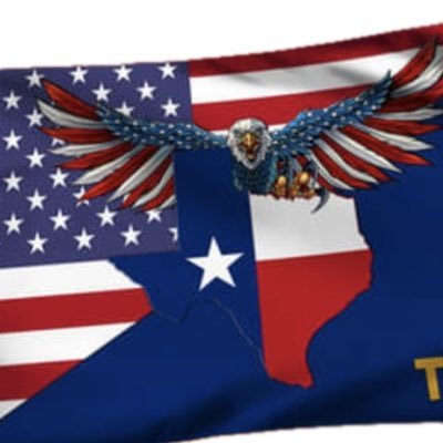 🇺🇸 🇨🇱🇮🇪 🏴󠁧󠁢󠁳󠁣󠁴󠁿 🇮🇱 #AmericaFirst; #TexanPatriot; Retired LEO/VET; #2A; #ThinBlueLine; #MAGA; No DM; Follow back