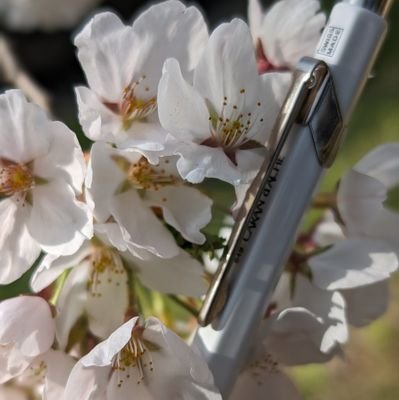 クラゲ (@74TAVcnSMr87306) / Posts / X