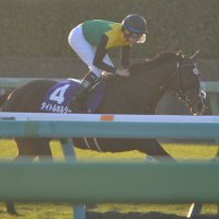 コウバイ (@ball_koubai_921) Twitter profile photo