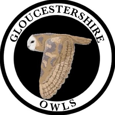 Seen an owl in Gloucestershire? Tweet us your sightings! #GlosOwls.