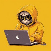 0xZisu |🦉 (@zisuzz) 's Twitter Profile