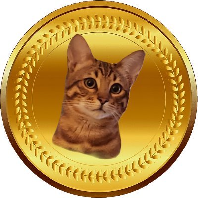 NEW MEMECOIN LAUNCHING SOON

GET IN FIRST !
BY FOLLOWING THIS PAGE FOR UPDATES

MovieCat! Building a community that loves memes and movies.