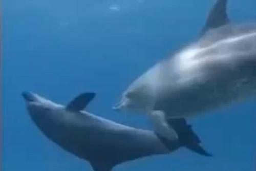 LewisLuongMusic's profile picture. Contemporary Australian jazz musician fluent in free style, smooth, swing, bossa nova and funk fusion jazz genres. New song every Friday: http://t.co/AShAJJ9iI5