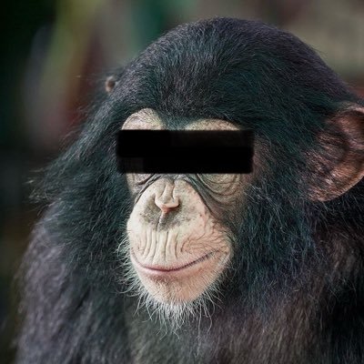 shiro_umamusume's profile picture. 