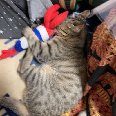 yuzu31546's profile picture. 