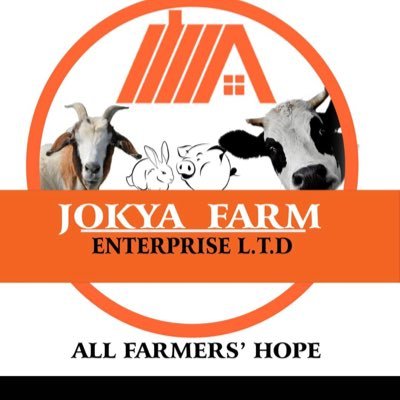 AGRI BUSINESS ENTERPRISE || YOUR TRUSTED AND RELIABLE AGROVET PARTNERS || jonarhankyakoonye095@gmail.com || +256776937155