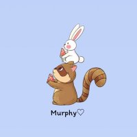 Murphy♡เมอร์ฟี่รับกรอกฟอร์ม กดบัตร🐰🐿️ (@murphy_vll) 's Twitter Profile