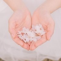 【派遣型メンズエステ】ホワイトハンド～ 青森-弘前エリア (@hand_ao_) Twitter profile photo