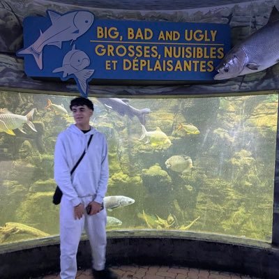 nihaalisme's profile picture. LIVE ON TWITCH EVERYDAY 5 PM EST