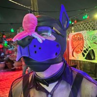 Pup Dar (@darpuppy) 's Twitter Profile Photo Pup Dar (@darpuppy) 's Twitter Profile Photo